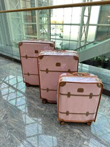 Brics Luggage Cover | Shield Luggage Cover