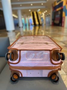 Brics Luggage Cover | Shield Luggage Cover