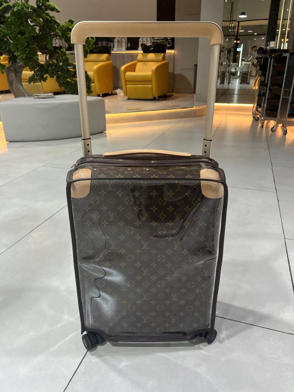Louis Vuitton luggage cover