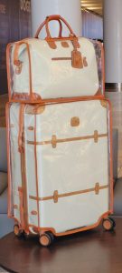 Brics Luggage Cover | Shield Luggage Cover