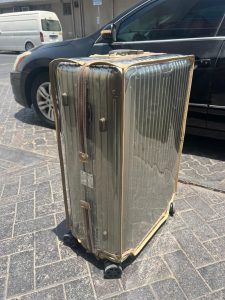 Rimowa Luggage Cover | Shield Luggage Cover
